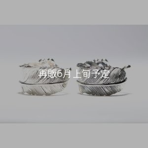 画像4: 千年フェザー(L1)  石付きリング 