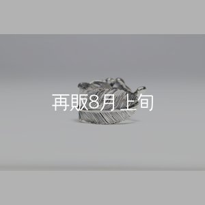 画像5: 千年フェザー(L1)  石付きリング 