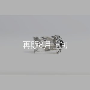画像6: 千年フェザー(L1)  石付きリング 