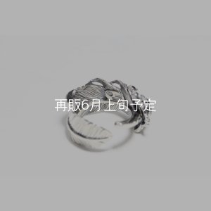 画像7: 千年フェザー(L1)  石付きリング 