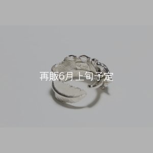 画像11: 千年フェザー(L1)  石付きリング 