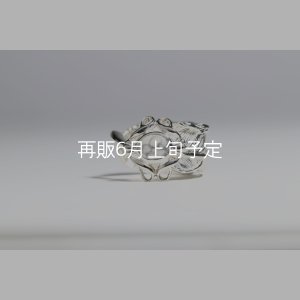 画像8: 千年フェザー(L1)  石付きリング 