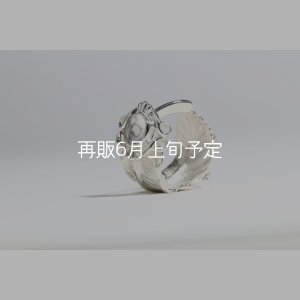 画像10: 千年フェザー(L1)  石付きリング 
