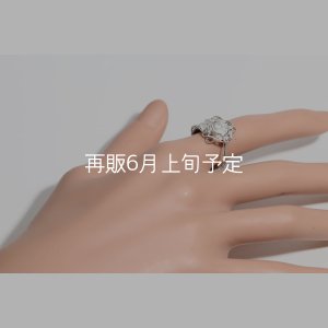 画像16: 千年フェザー(L1)  石付きリング 