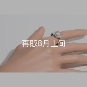 画像16: 千年フェザー(L1)  石付きリング 
