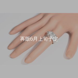 画像17: 千年フェザー(L1)  石付きリング 