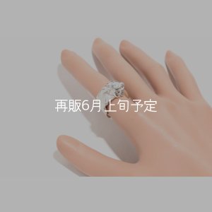 画像15: 千年フェザー(L1)  石付きリング 