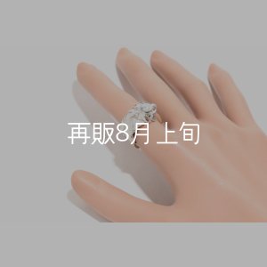 画像15: 千年フェザー(L1)  石付きリング 
