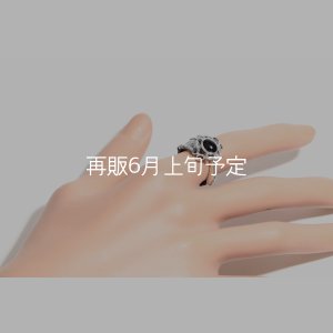 画像13: 千年フェザー(L1)  石付きリング 