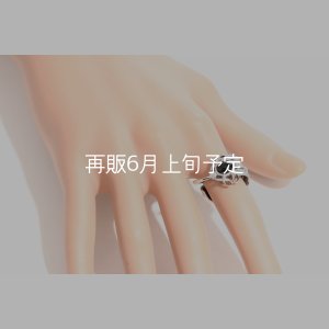 画像14: 千年フェザー(L1)  石付きリング 