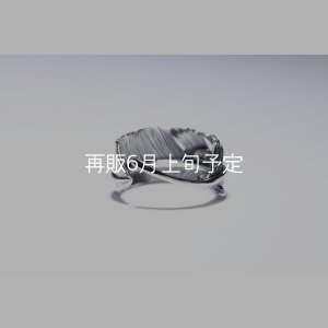 画像4: 千年フェザー(LL1)リング  ■雑誌掲載 