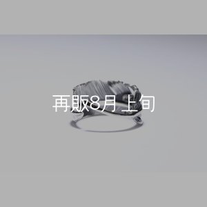 画像4: 千年フェザー(LL1)リング  ■雑誌掲載 