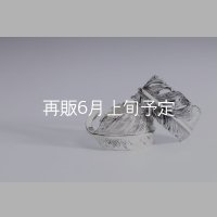 千年フェザー(LL1)リング  ■雑誌掲載 