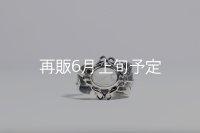 千年フェザー(LL1)  マグネサイトリング 