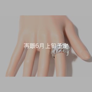 画像12: 千年フェザー(LL1)  マグネサイトリング 