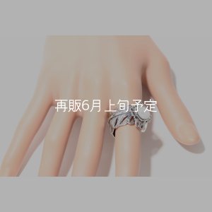画像11: 千年フェザー(LL1)  マグネサイトリング 