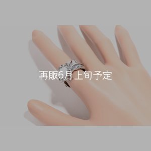画像8: 千年フェザー(LL1)  マグネサイトリング 