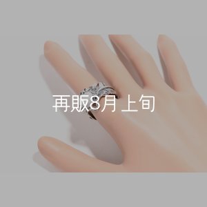 画像8: 千年フェザー(LL1)  マグネサイトリング 