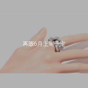 画像10: 千年フェザー(LL1)  マグネサイトリング 