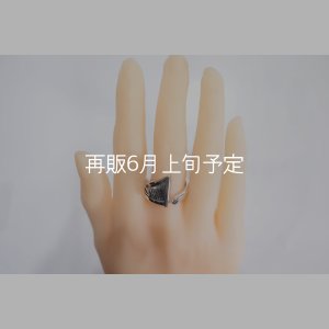 画像6: ウォーボンネットリング A 