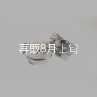千年フェザー(XL1)リング  ■雑誌掲載 