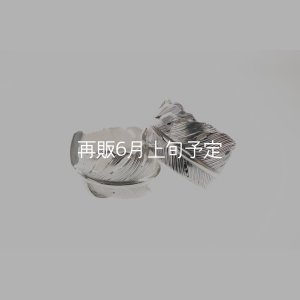 画像1: 千年フェザー(XL1)リング  ■雑誌掲載 
