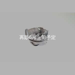画像4: 千年フェザー(XL1)リング  ■雑誌掲載 