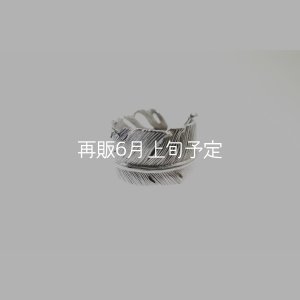 画像6: 千年フェザー(XL1)リング  ■雑誌掲載 
