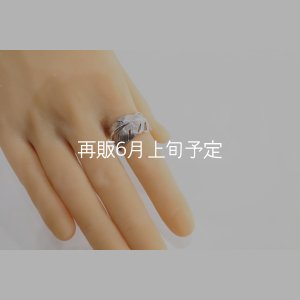 画像8: 千年フェザー(XL1)リング  ■雑誌掲載 