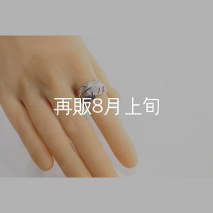 画像8: 千年フェザー(XL1)リング  ■雑誌掲載 