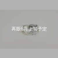 風切羽リング 