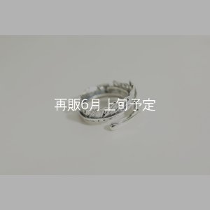 画像4: 風切羽リング 