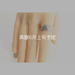 画像9: 風切羽リング 
