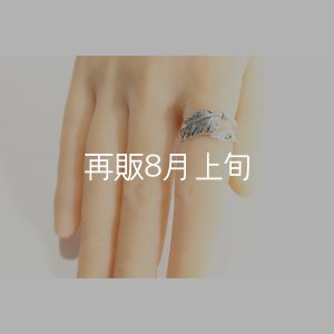 画像9: 風切羽リング 