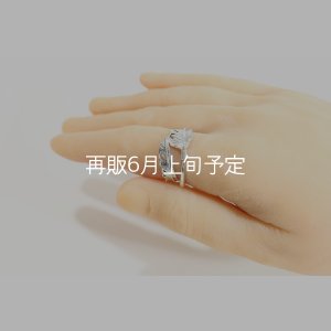 画像7: 風切羽リング 