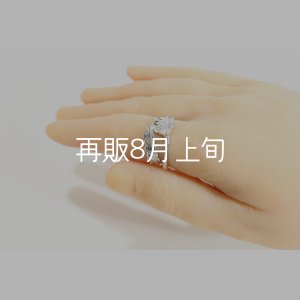 画像7: 風切羽リング 
