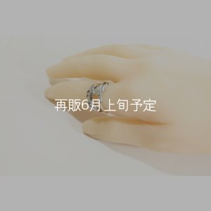 画像10: 風切羽リング 