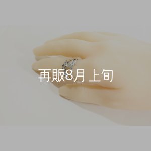 画像10: 風切羽リング 
