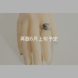 画像12: 風切羽リング 