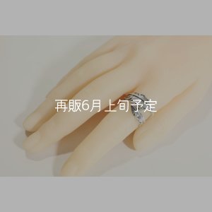 画像13: 風切羽リング 