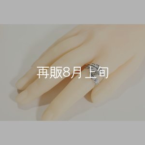 画像13: 風切羽リング 