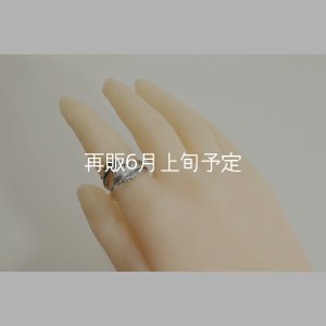画像11: 風切羽リング 