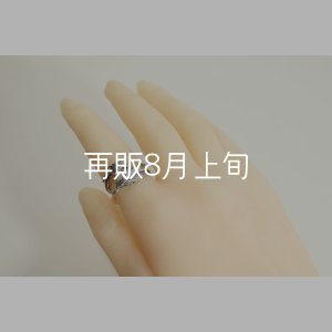 画像11: 風切羽リング 