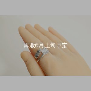 画像8: 風切羽リング 