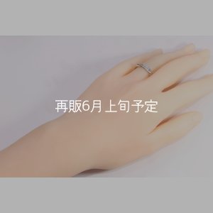 画像8: ラウンドフェザーリング 