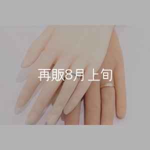 画像1: ラウンドフェザーリング [ペア] ｜SV925/K10YG｜ 