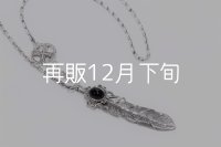 千年フェザー(LL1オニキス)  アローフックペンダント 『チェーン50cm』 