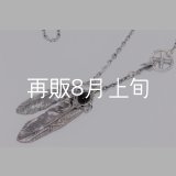 Wフェザーネックレス (L1/LL2オニキス)  クローフック/アローメディスン 『チェーン50cm』 