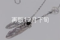 Wフェザーネックレス (L1/LL2オニキス)  クローフック/アローメディスン 『チェーン50cm』 