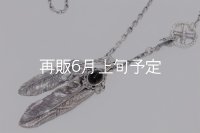 Wフェザーネックレス (L1/LL2オニキス)  クローフック/アローメディスン 『チェーン50cm』 